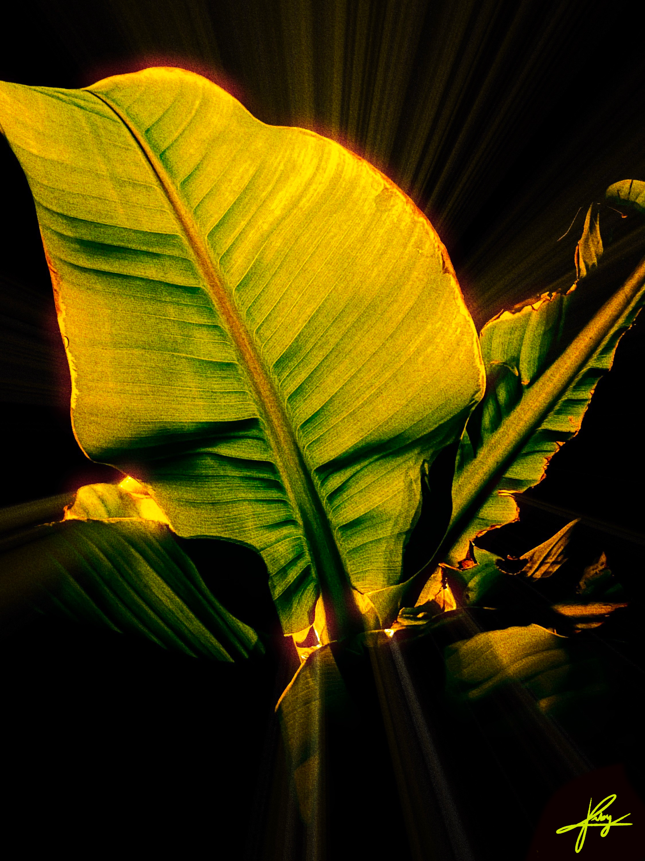 33D289B5-0840-4997-91F6-DE3516D84EC5.PNG