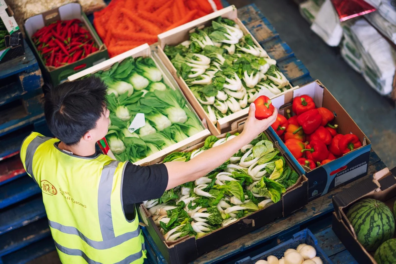 Lung wah chong sorting fresh produce, including bok choy, leafy greens, red peppers, chili peppers and carrots