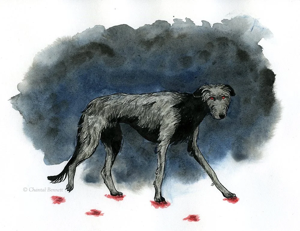 Black Dog