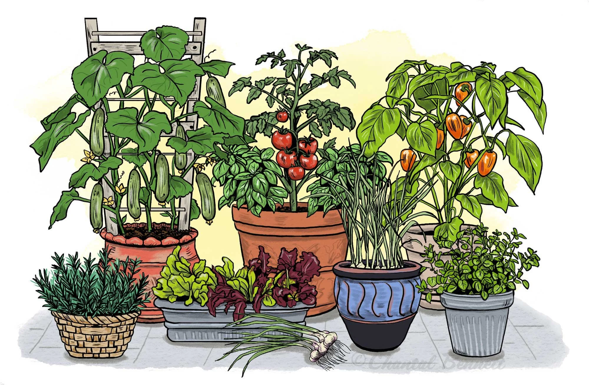 Philadelphia Magazine - Container Gardening