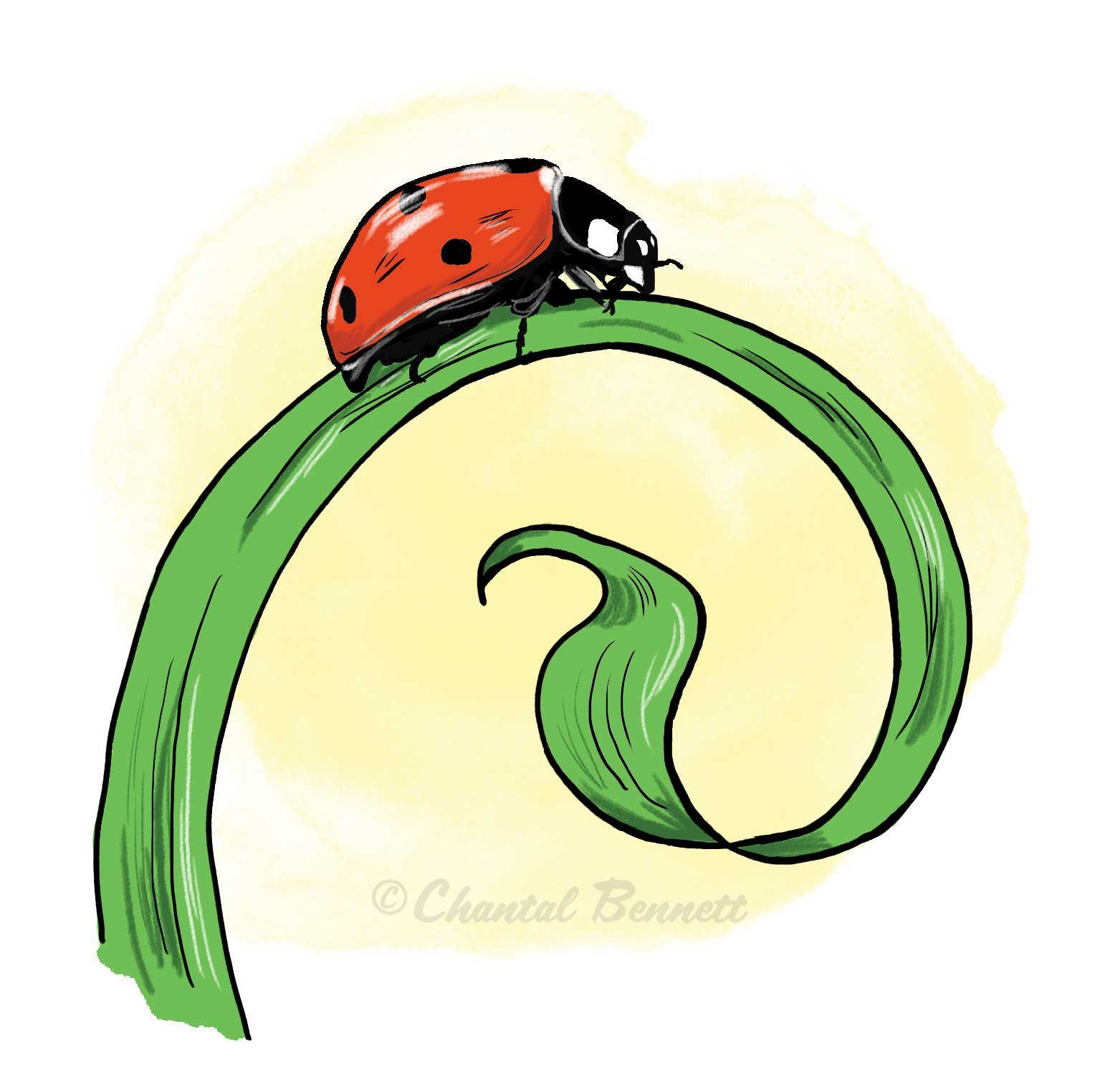 Nature Illustration of a ladybug crawling on a curled green vine  by Chantal Bennett.