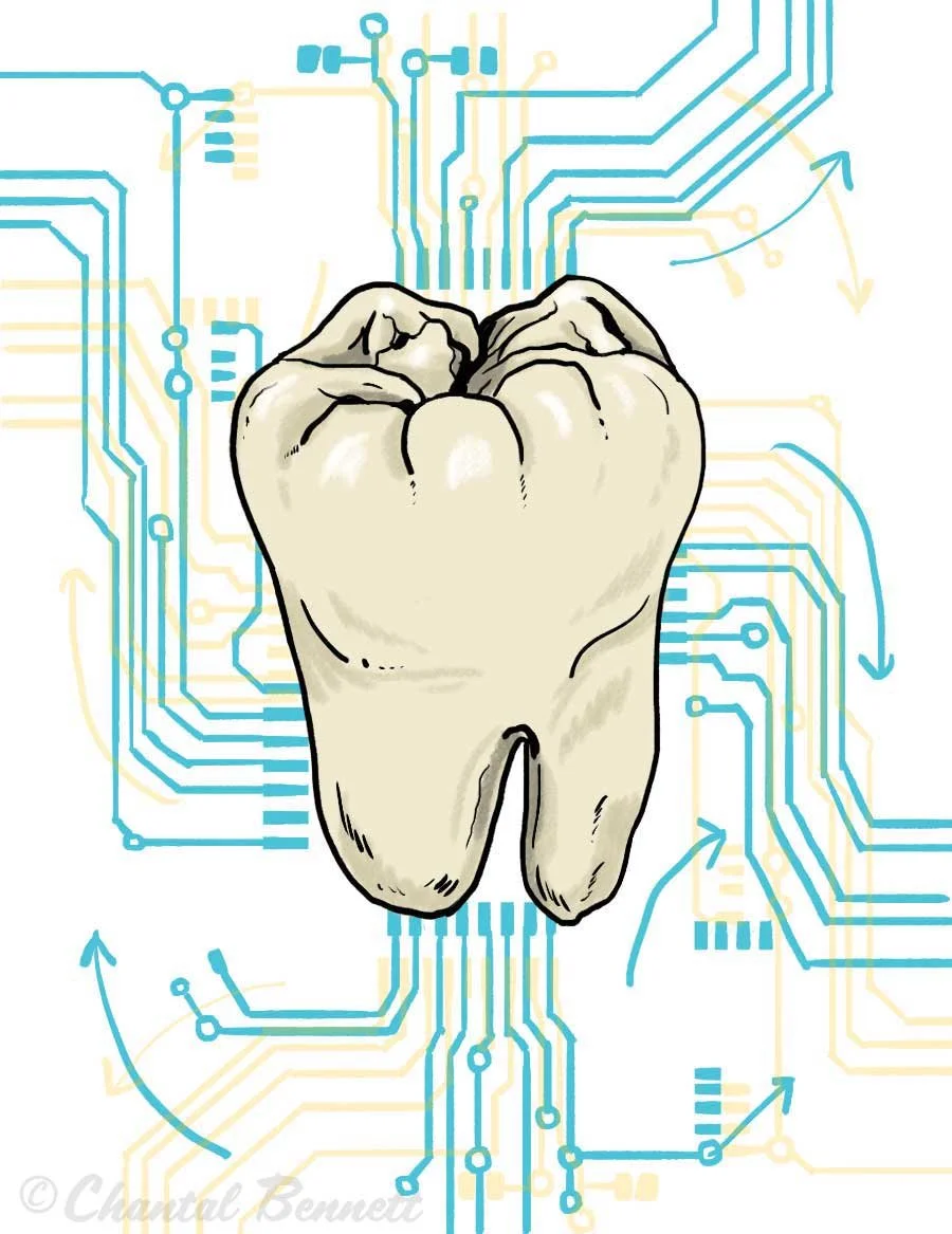 Medical conceptual magazine spot Illustration of a human molar tooth with a background of blue and yellow circuit lines  by Chantal Bennett.
