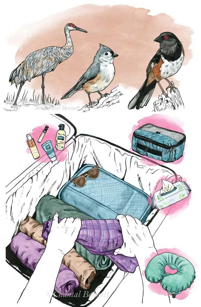 re:Porter - Birds & Packing
