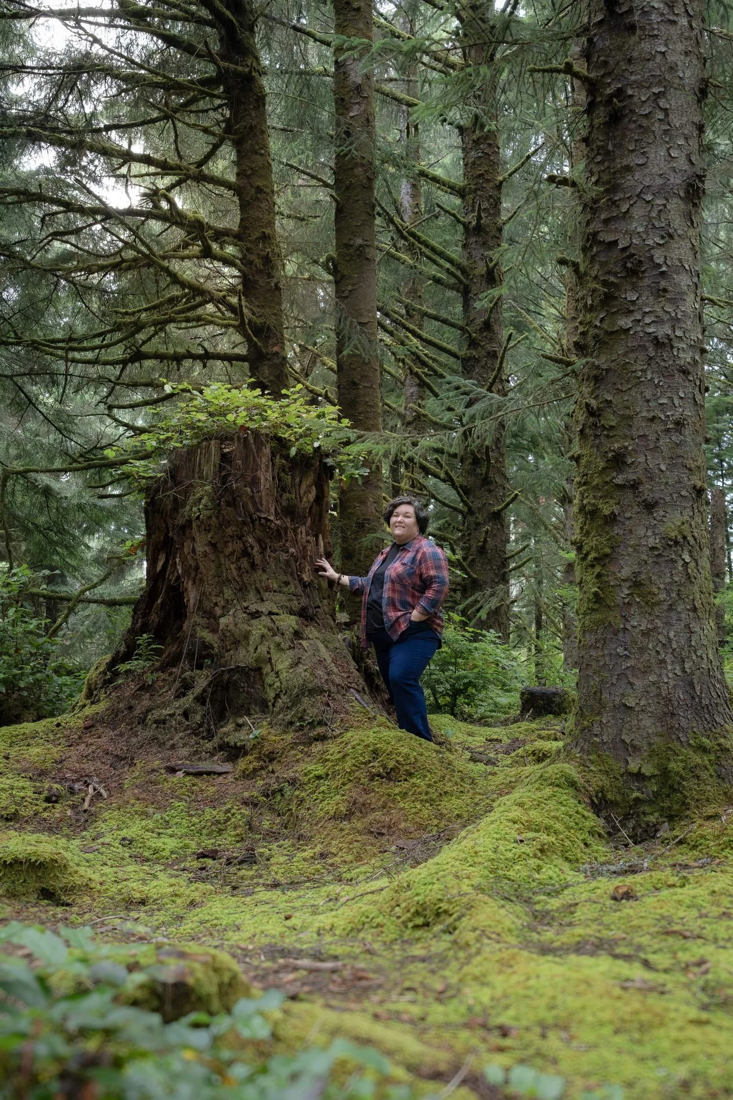 Person standing beside a moss-covered tree stump in a dense evergreen forest