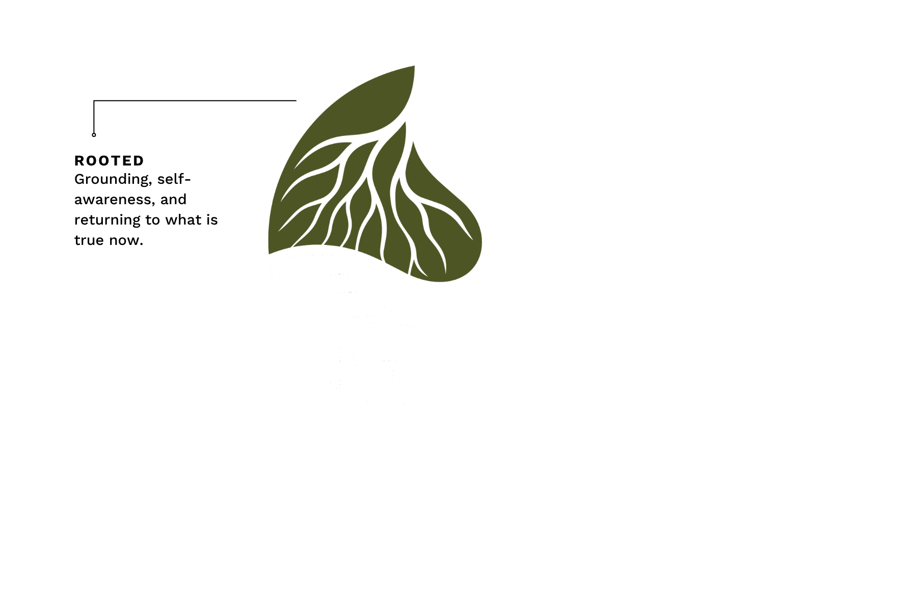 Stylized green leaf logo on a black background