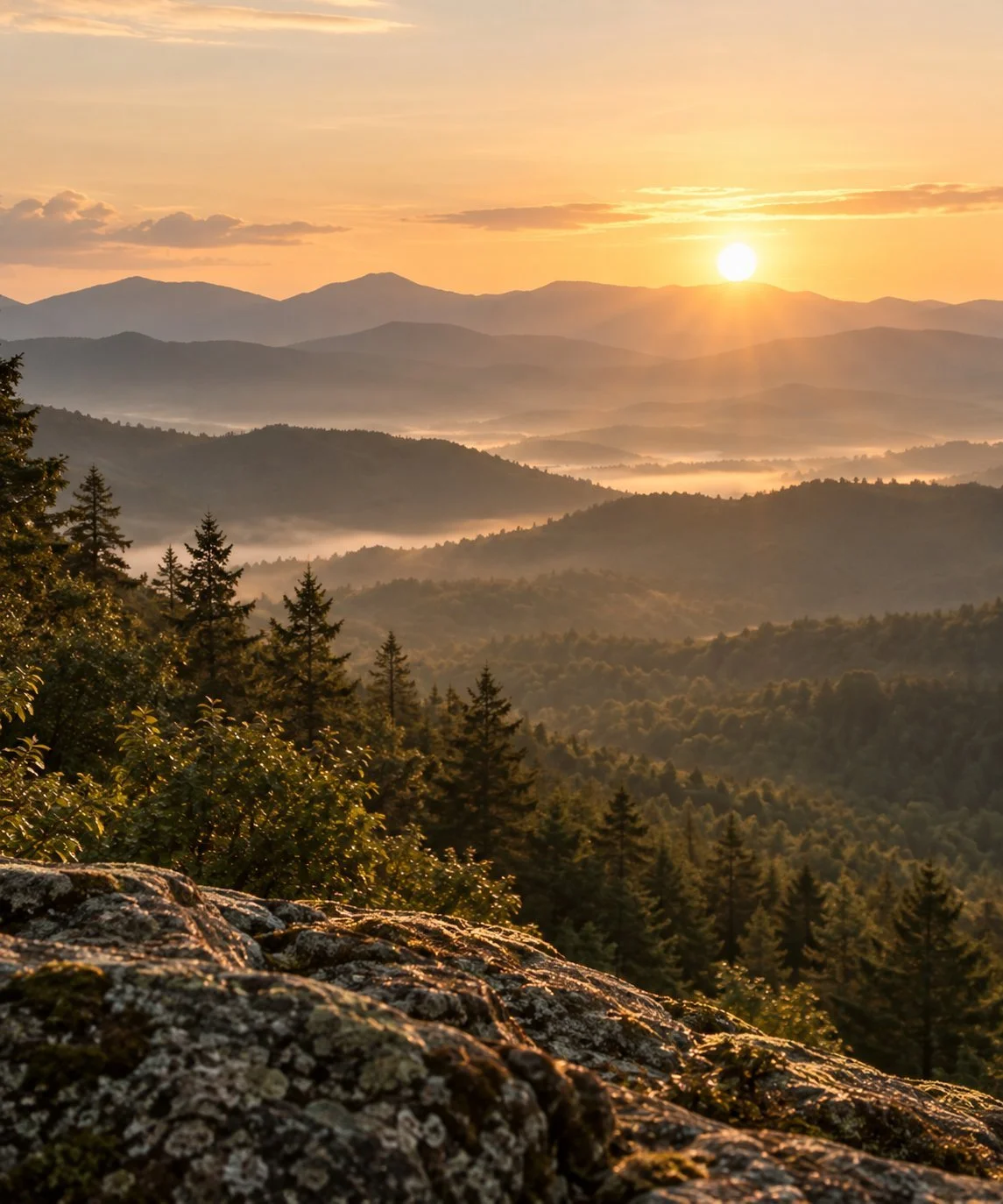Sunrise over misty mountain ranges and evergreen forests viewed from a lichen-covered rock