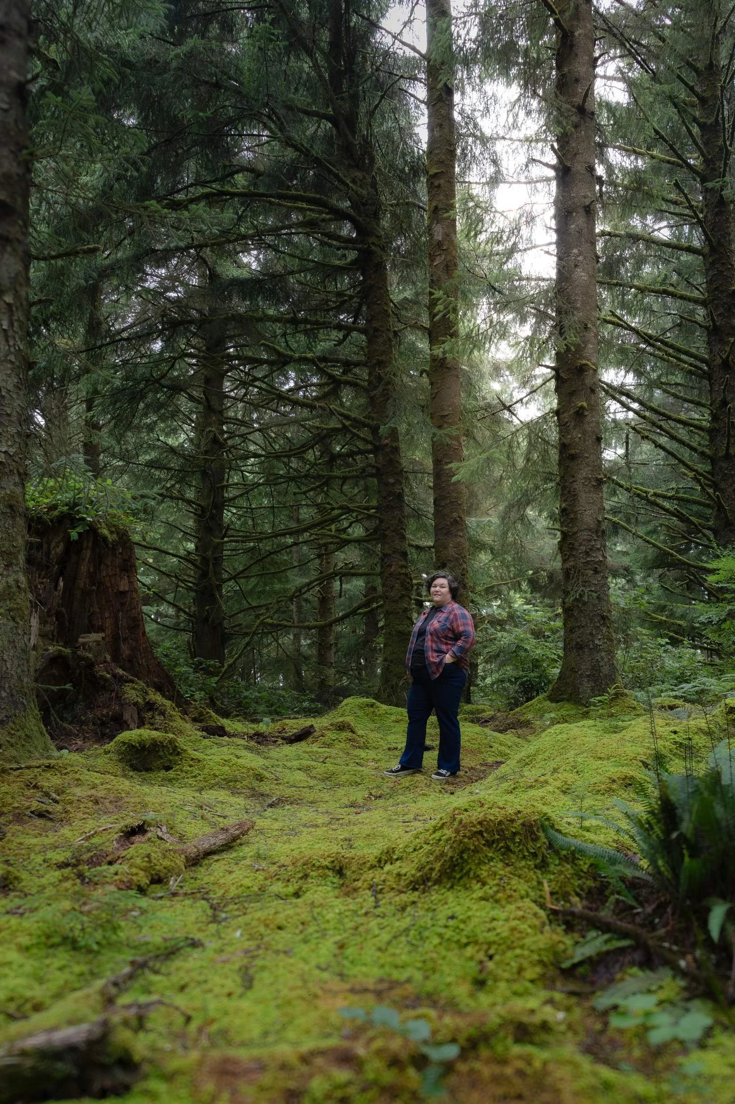 Person standing in a moss-covered evergreen forest surrounded by towering trees and ferns