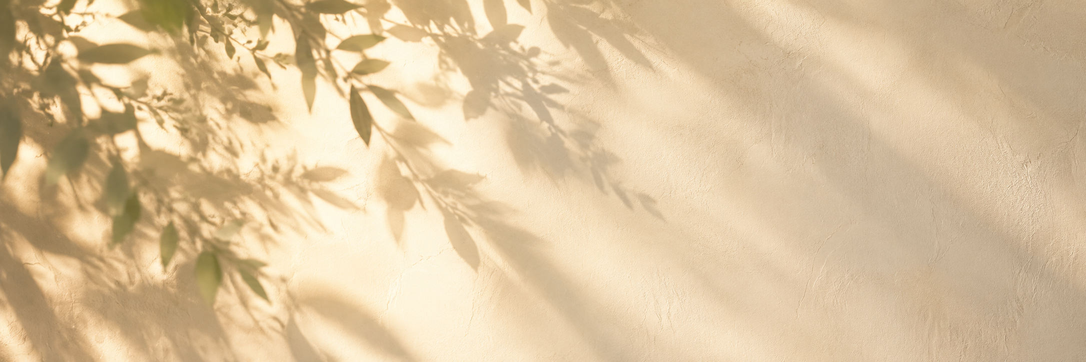 sunlit leaves and shadows against a cream wall