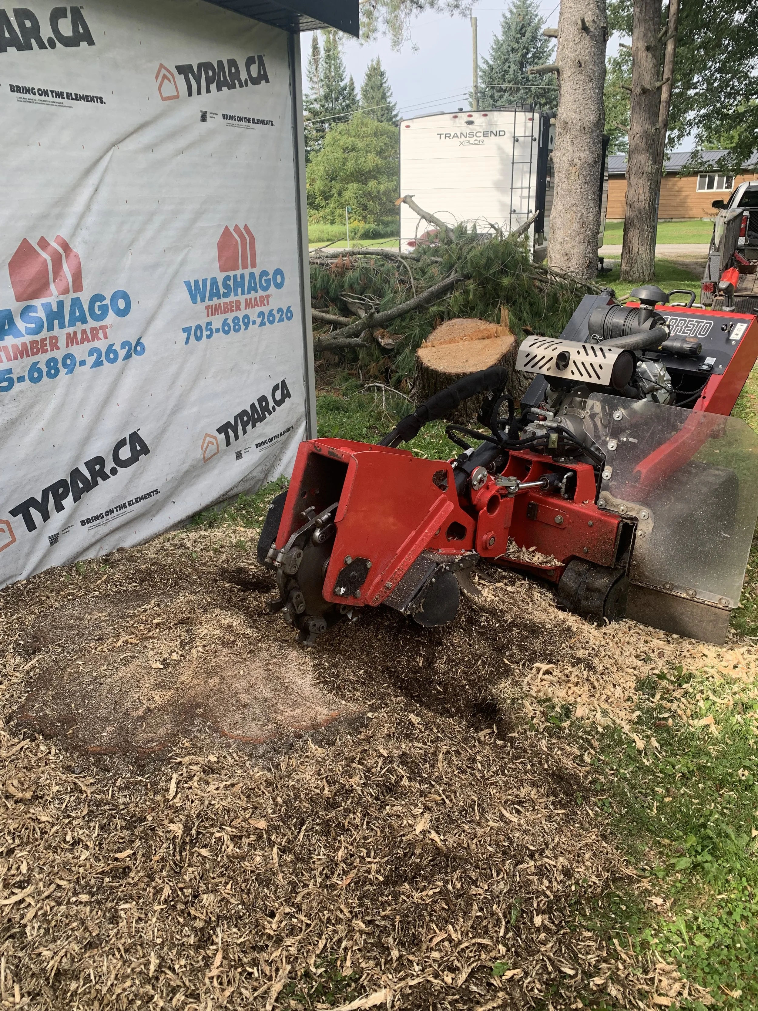Red Stump Grinder beside freshly cut stump, and wood chips.