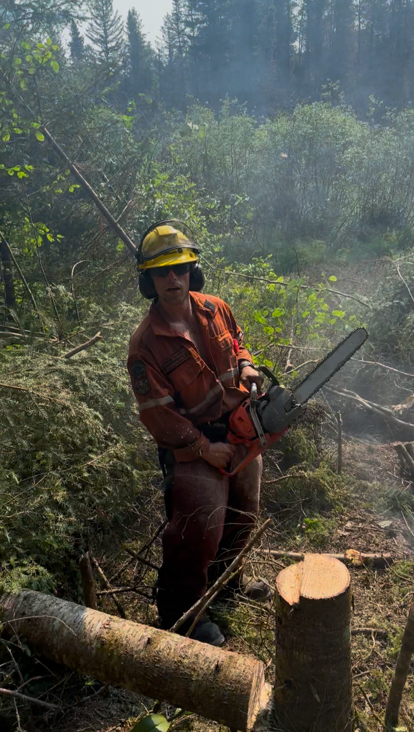 Forestry worker in protective gear holding a chainsaw in a wooded forest clearing