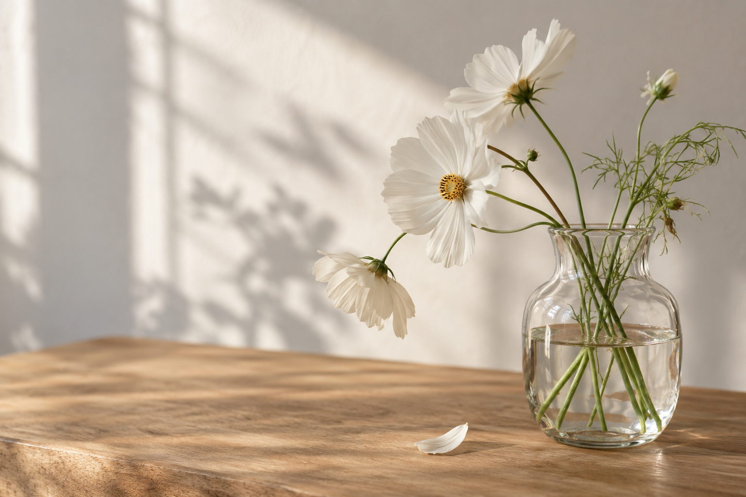 A glass vase with white flowers and green stems on a wooden surface with shadows on a white wall.