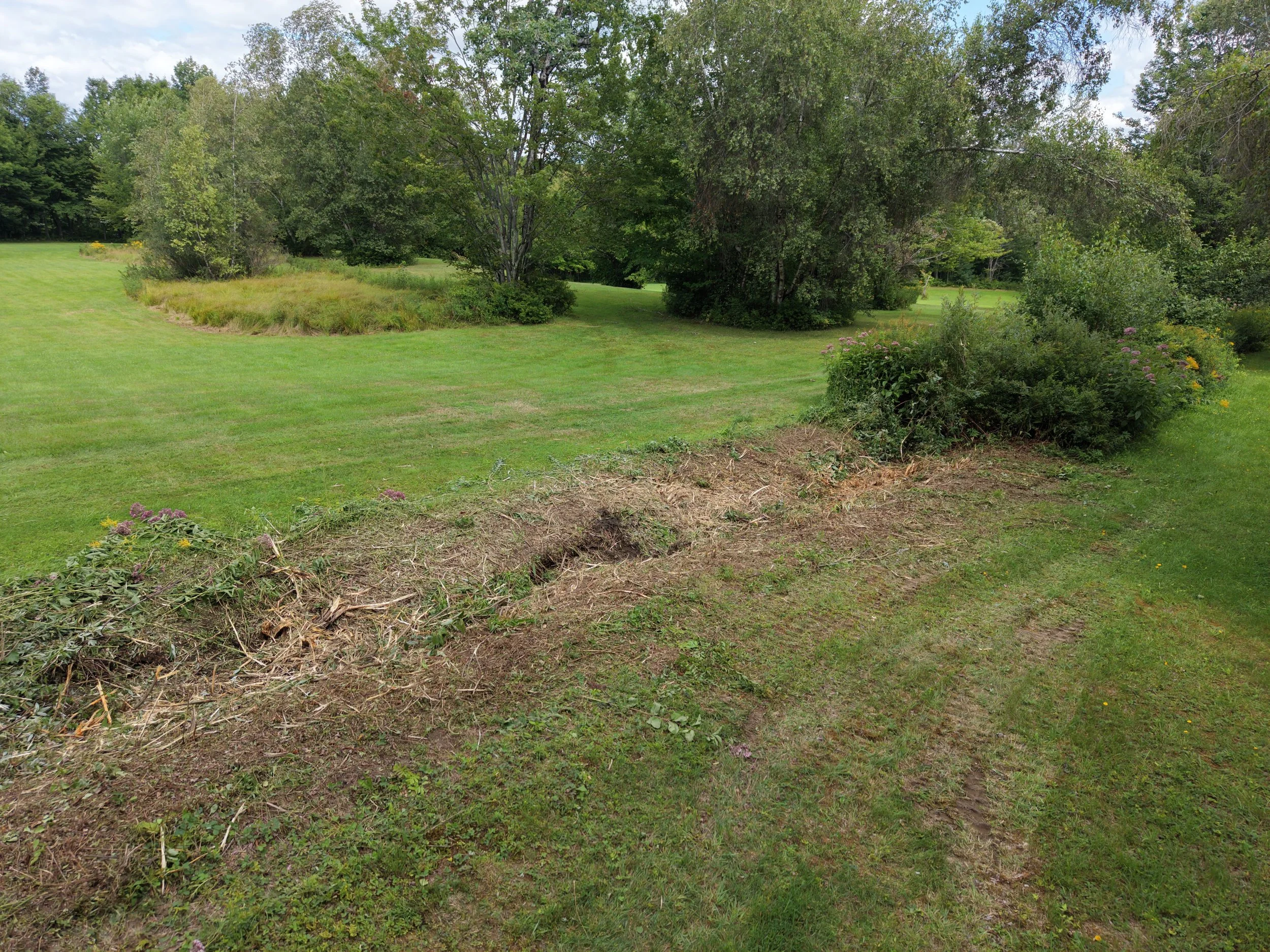 DJI_20260815142246_0013_D.JPG