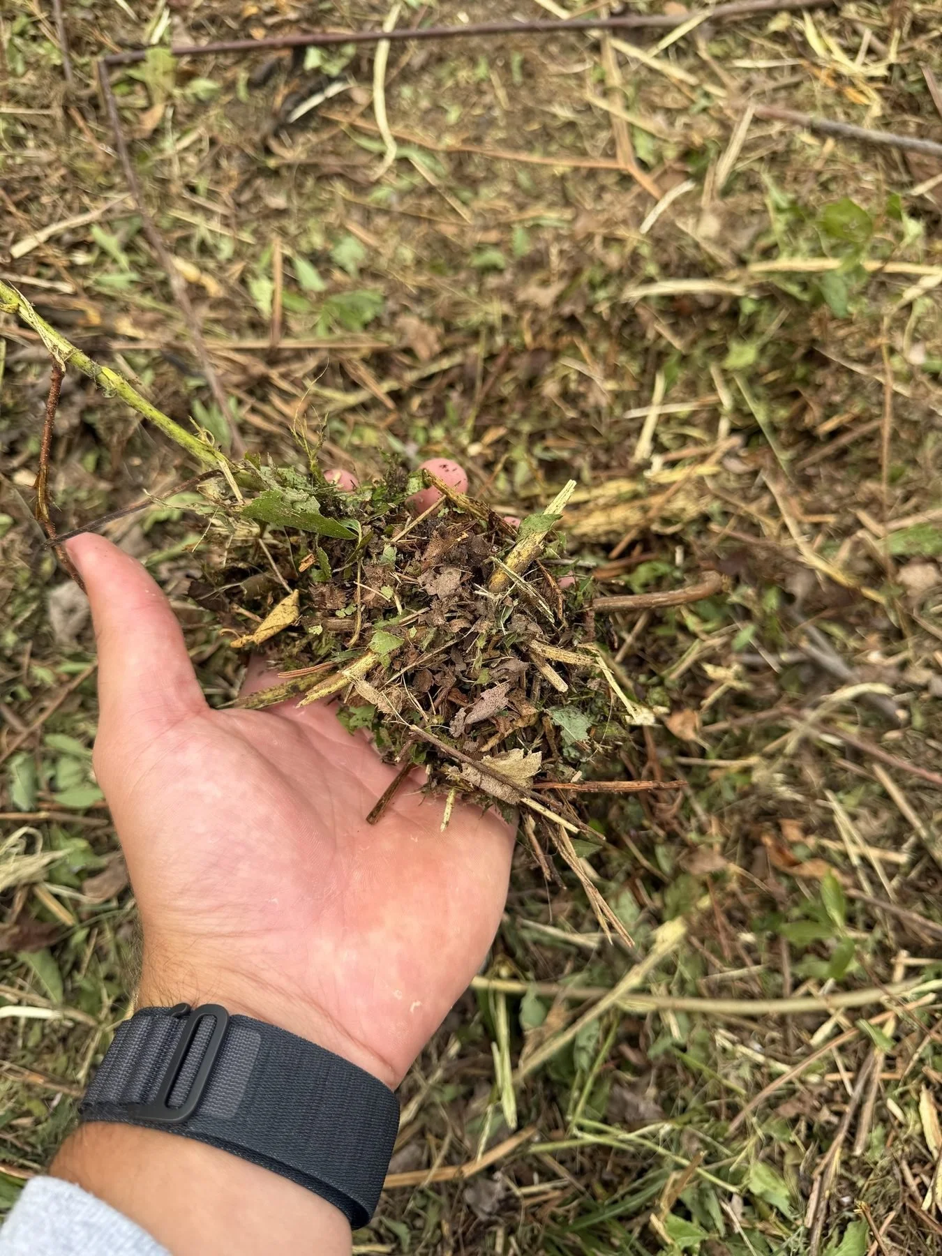 05-mulch-detail.jpg