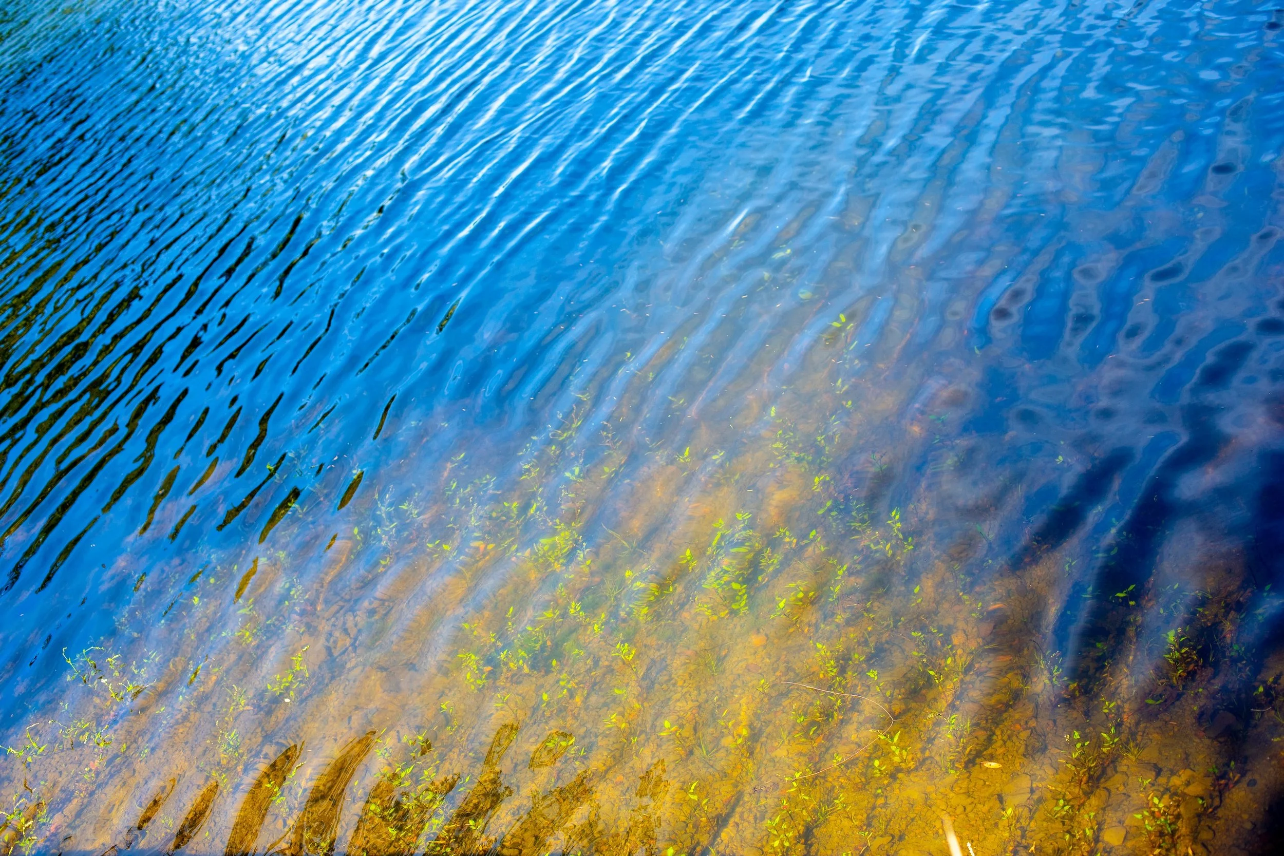 Blue green water in a lake with ripples on the surface.
