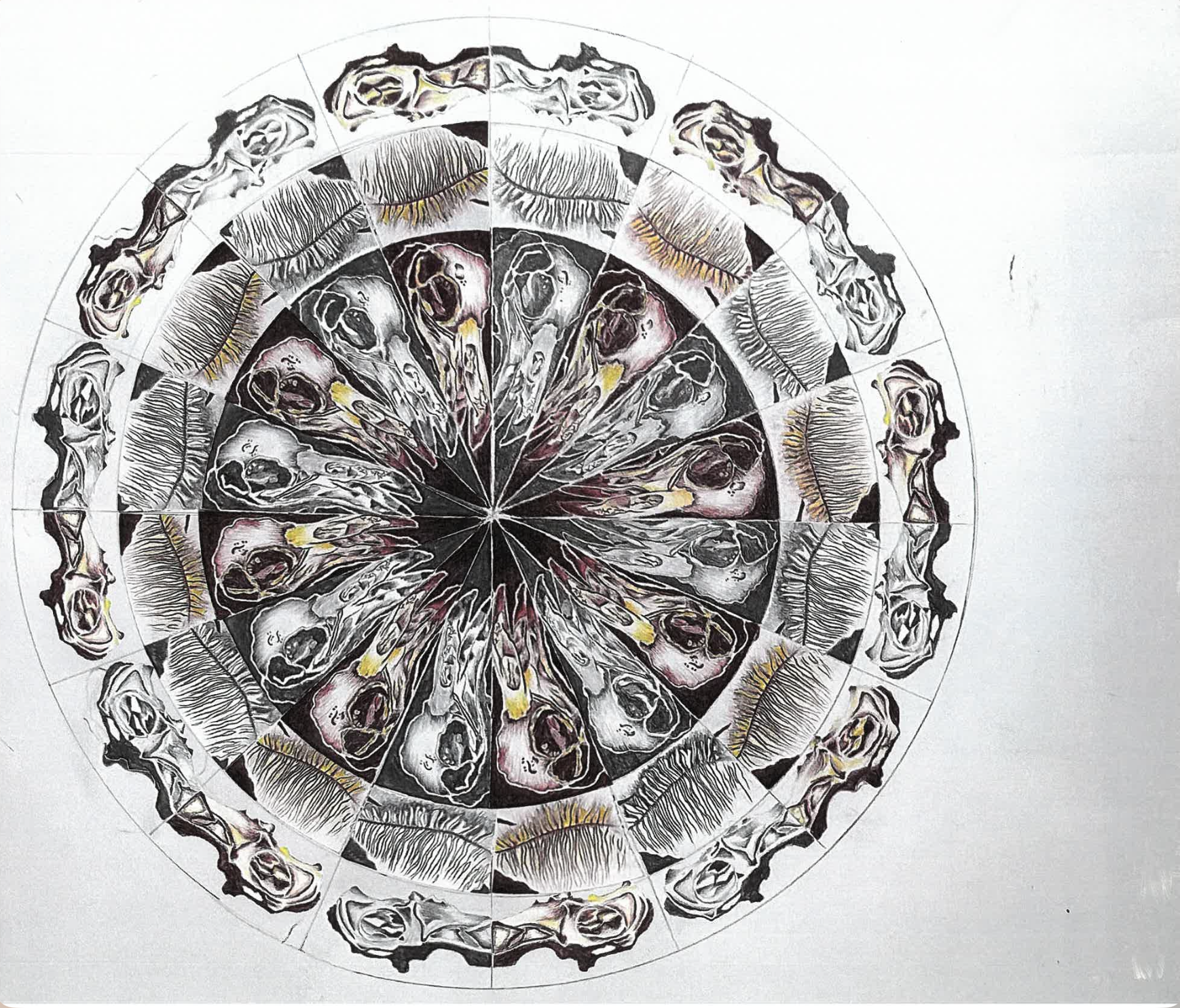 A circular artwork composed of multiple illustrations of skulls and shells, layered in a detailed and stylized manner, with a black, white, yellow and red color scheme.