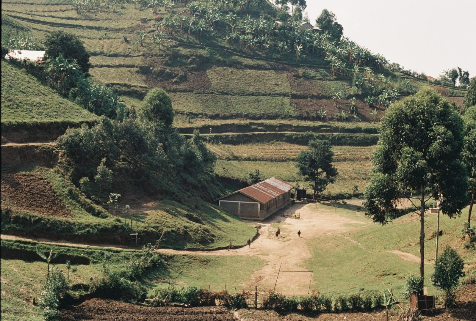 Hilly landscape with terraced fields, trees, a building with a rusted metal roof, and a few people walking on a dirt path.