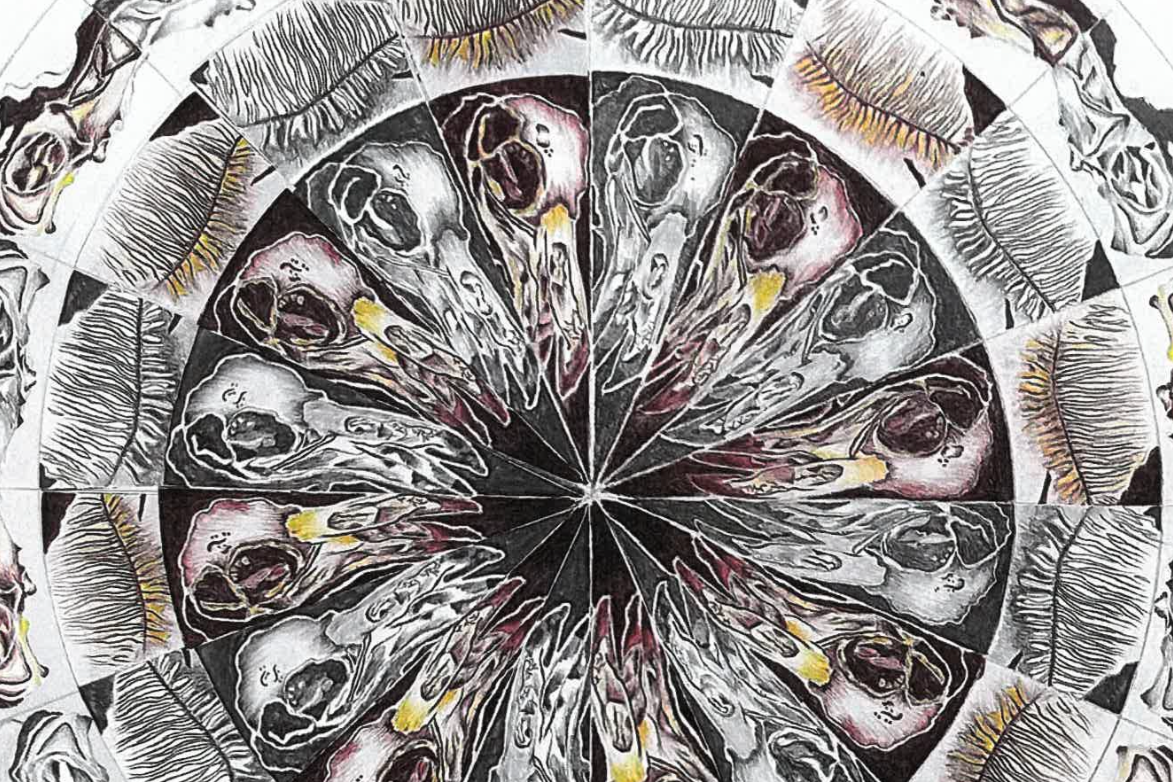 mandala project