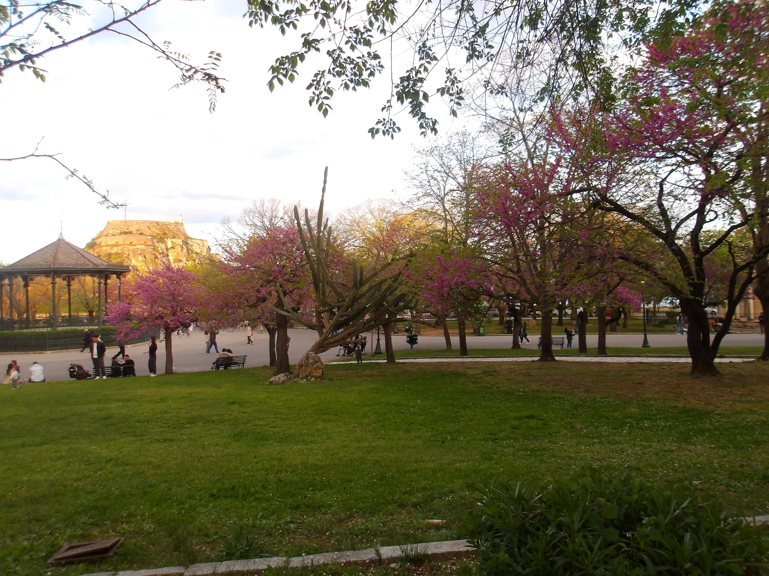 Park with pink flowering trees, green grass, a gazebo, and a hilltop structure in the background, with people walking and sitting.