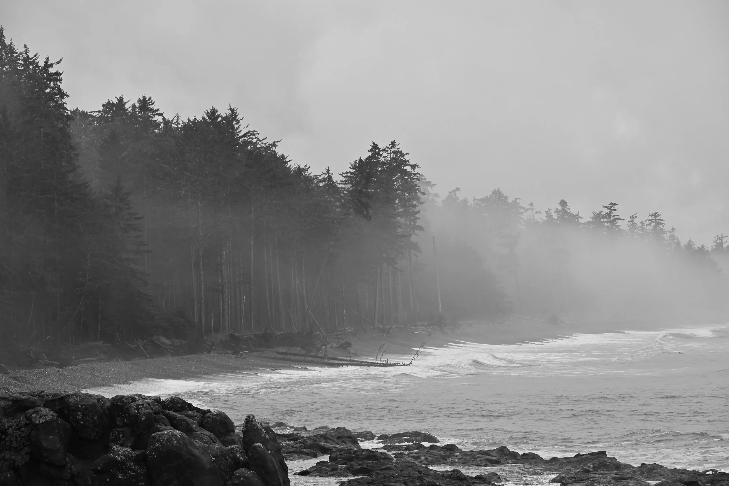 A black and white photo of a foggy ocean scene with trees along the shoreline and water in the foreground.