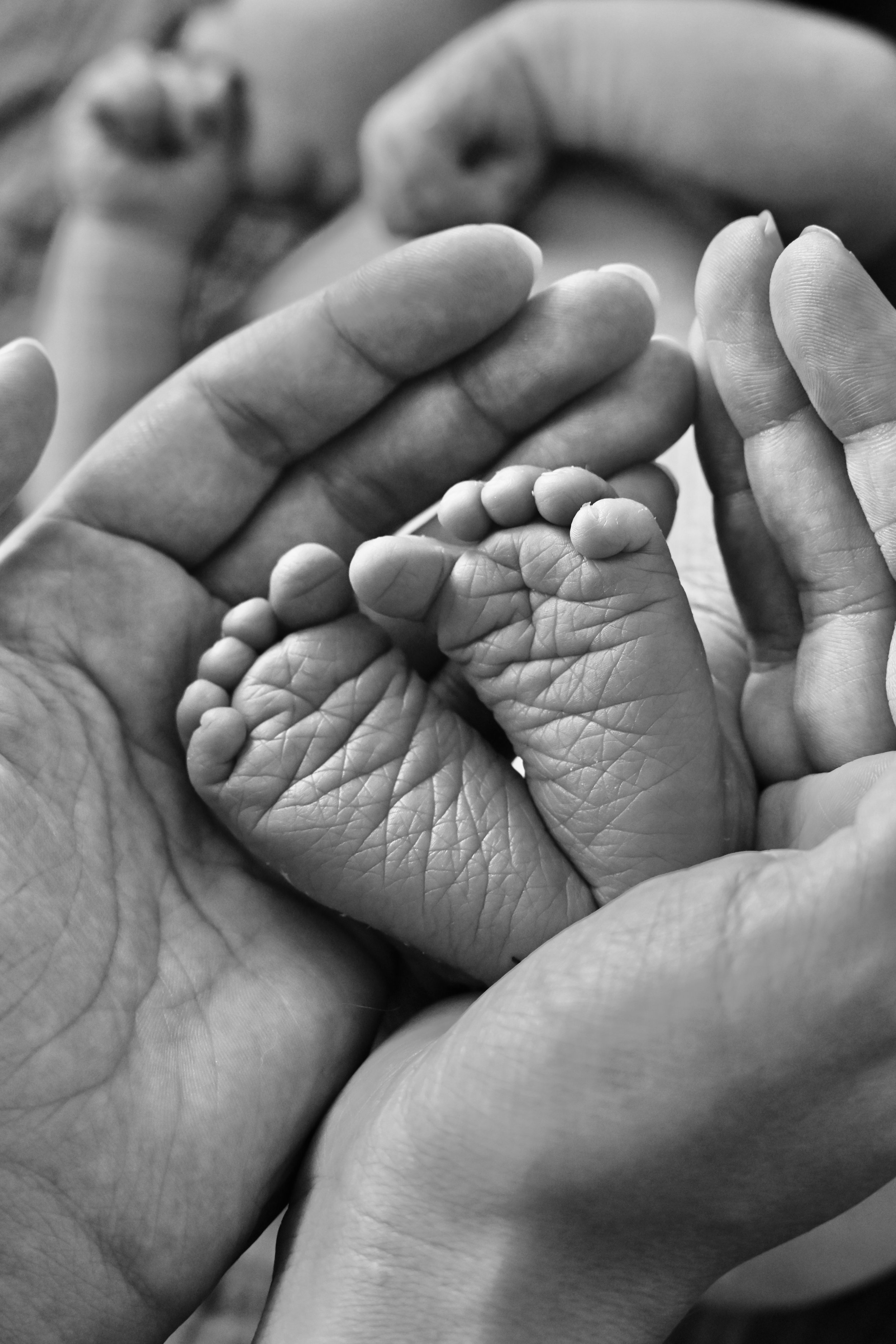 Close-up black and white photo of an adult hand holding a baby's feet.