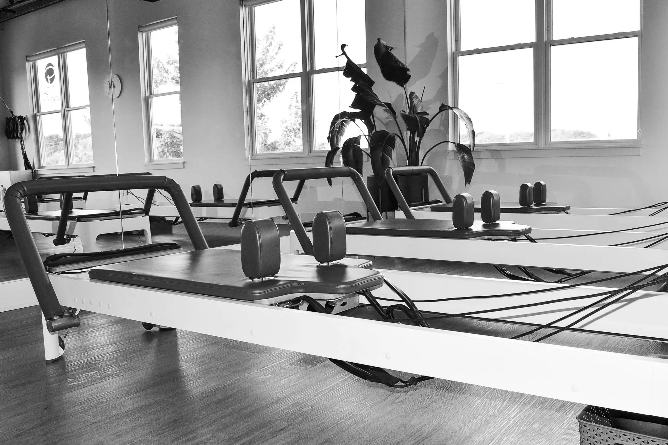 A gym with exercise equipment such as workout benches with dumbbells, large windows, a plant, and a mirror reflecting part of the room.