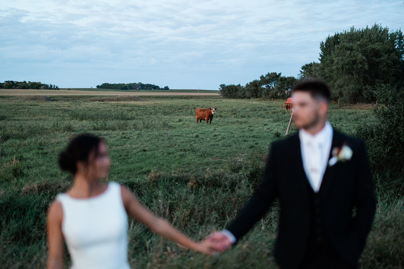 A bride and groom holding hands outdoors in a rural area with a cow in the background, trees, and a cloudy sky.