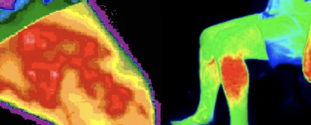 Thermal image of a person hunched over on all fours and a slice of pizza displaying temperature variations