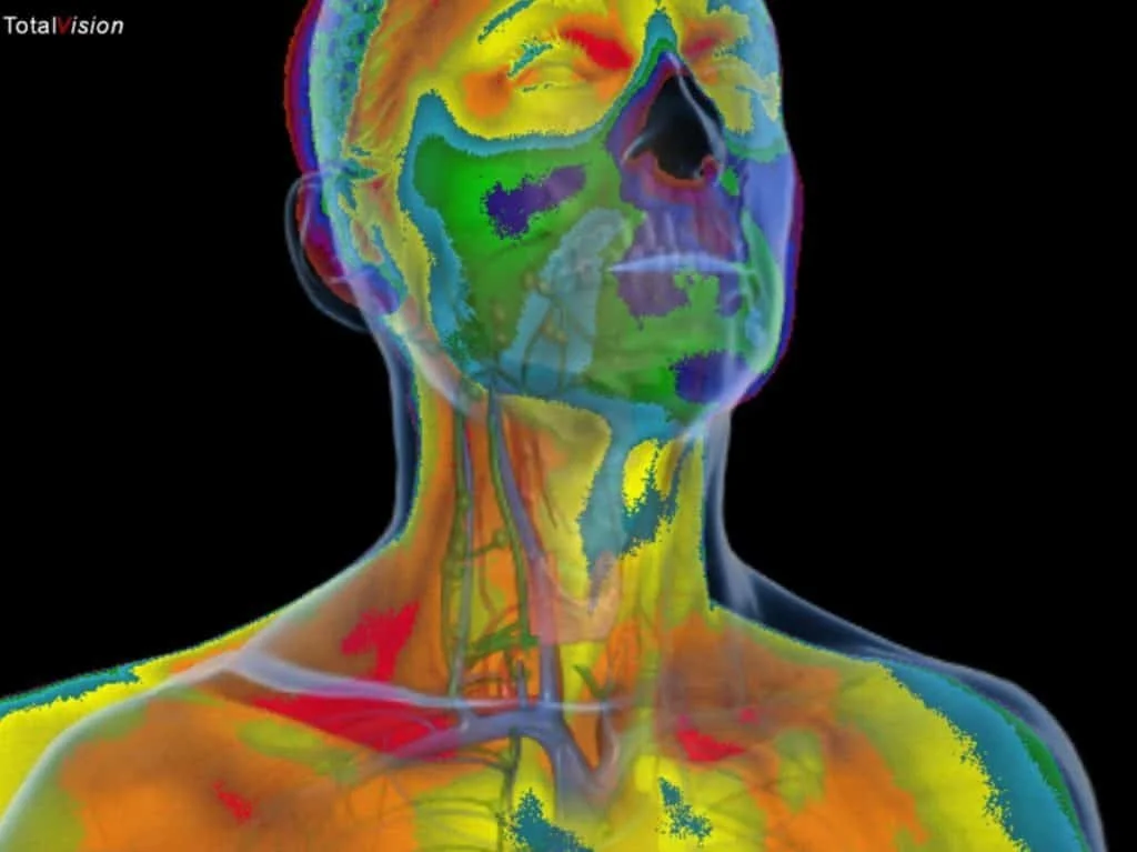 Colorful thermal imaging scan of a human head, neck, shoulders, and upper chest