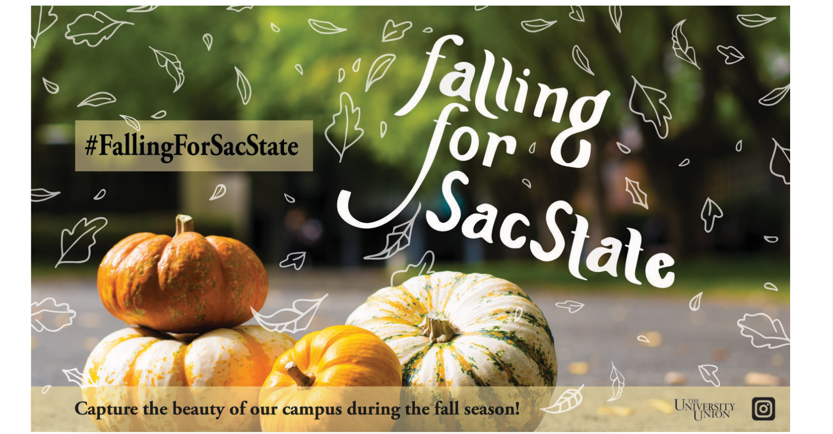 Falling for Sac State Marketing Campaign