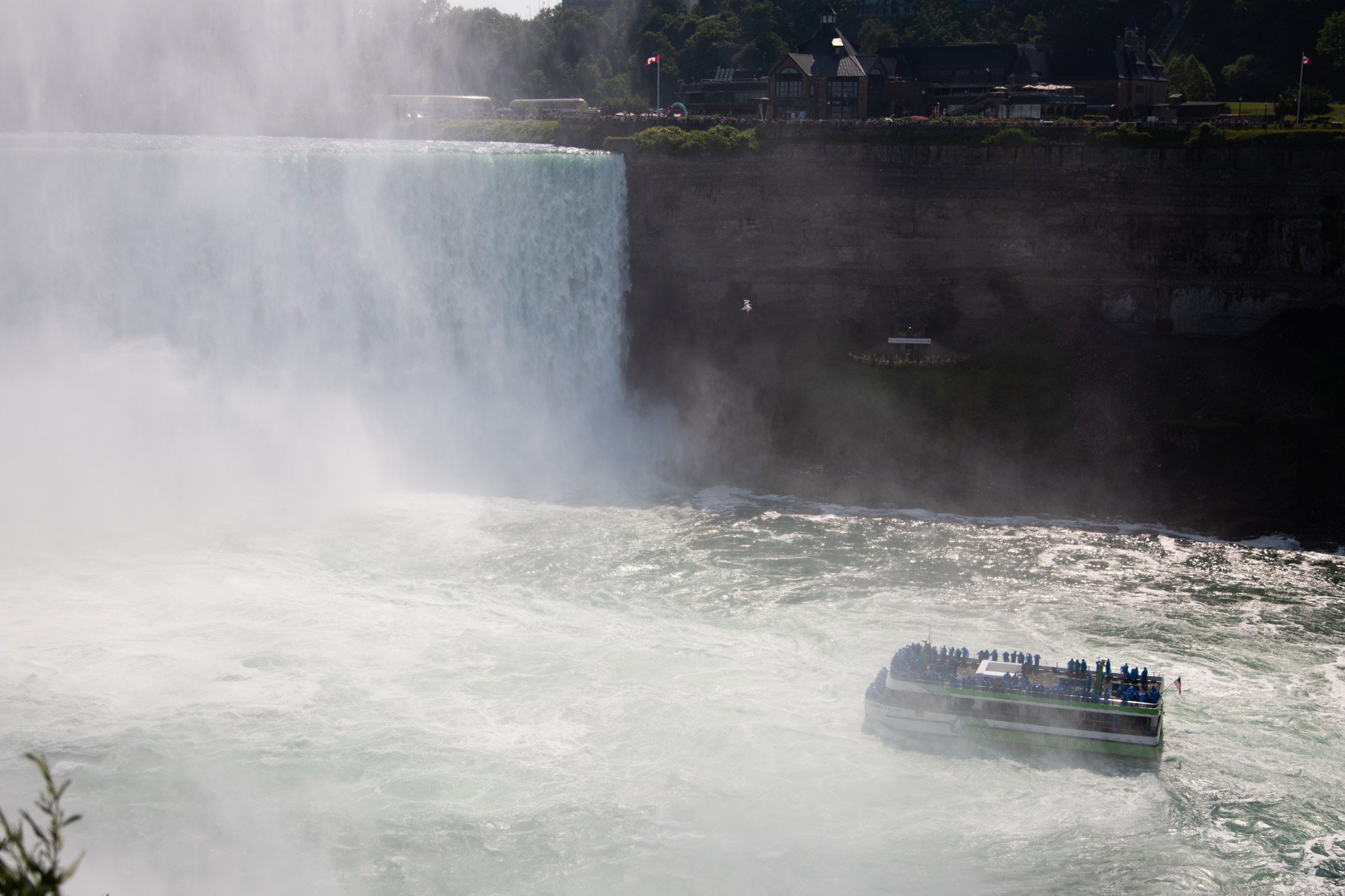 Buffalo-83.jpg