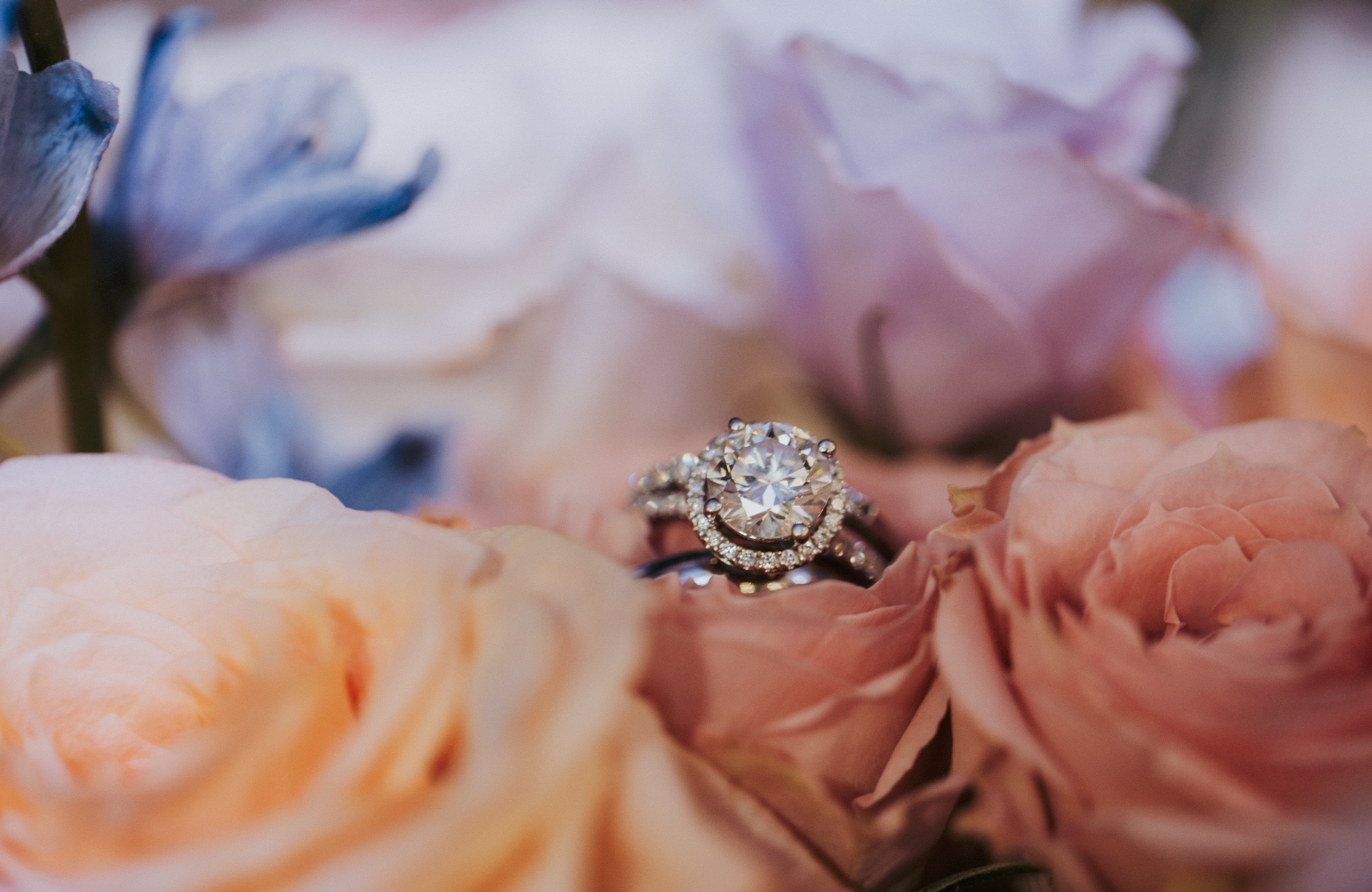 A close-up of a diamond engagement ring surrounded by peach and purple roses.
