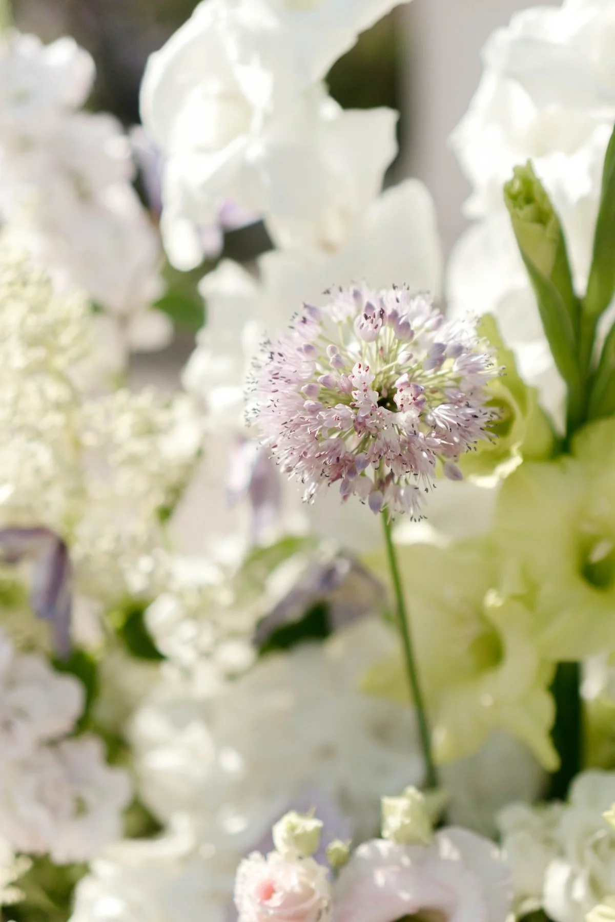 markshall-estate-essex-wedding-florist-essex-6586.jpg