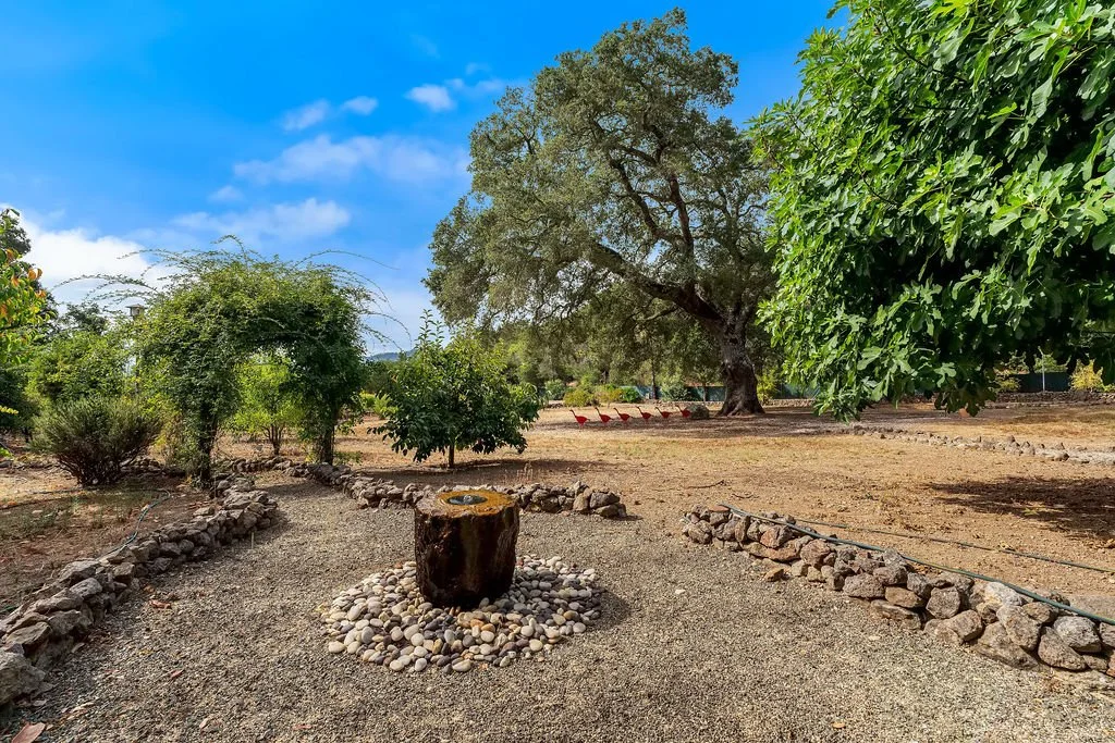 A garden with a large tree, smaller bushes, and a tree stump surrounded by pebbles and rocks under a blue sky.
