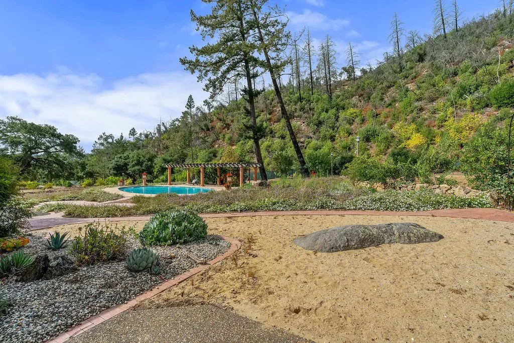 A backyard with a small pool, desert plants, and a hillside with trees.