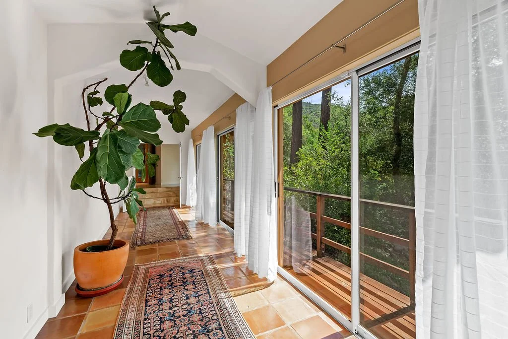 Sunlit interior hallway with large potted fiddle leaf fig plant, patterned rugs, white curtains, and a sliding glass door leading to a balcony with green trees outside.