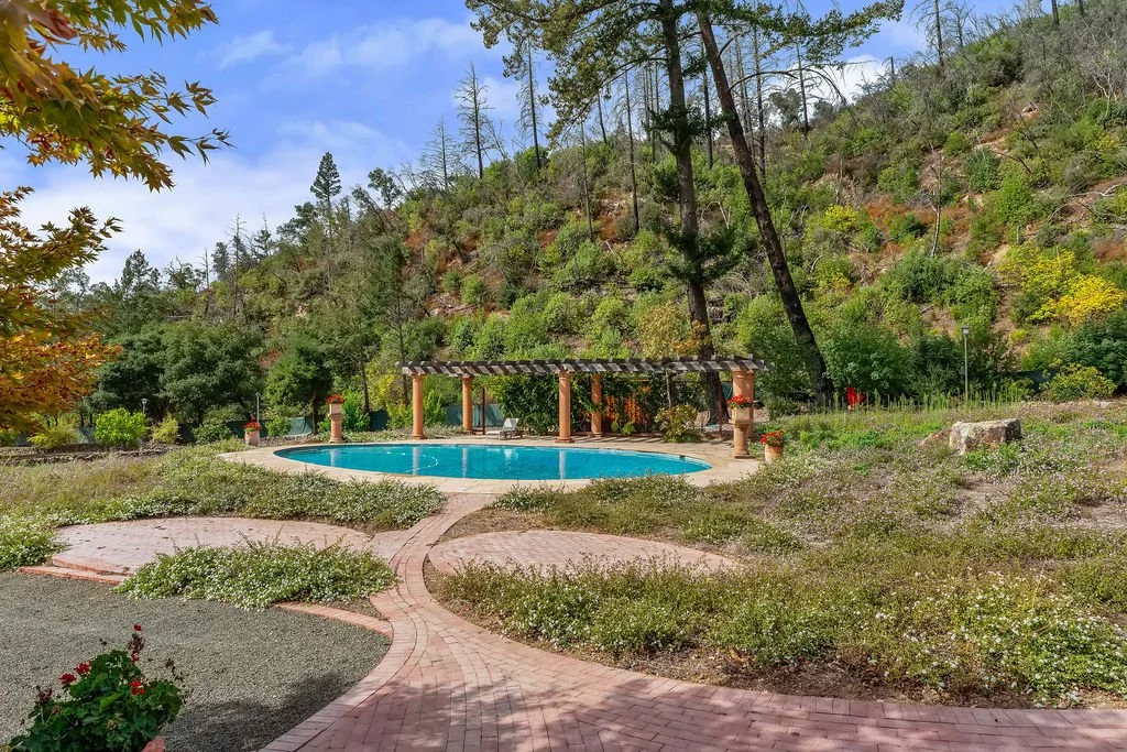 A backyard with a kidney-shaped swimming pool, surrounded by a brick pathway and lush greenery, with a hill covered in trees in the background.