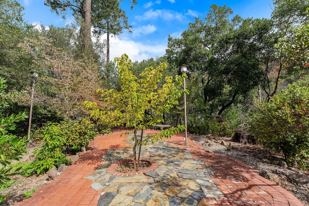 A small tree planted in the center of a curved brick and stone pathway in a lush garden. There are tall trees and bushes surrounding the pathway, with bright blue sky and some clouds overhead.