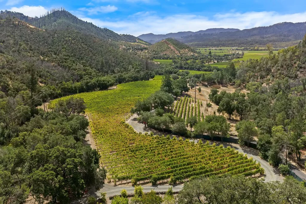 Aerial view of a lush green vineyard surrounded by trees and rolling hills under a partly cloudy sky.