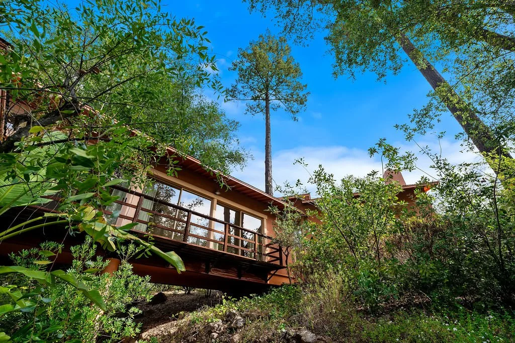 A house built among trees with large glass windows and a wooden balcony, surrounded by green foliage and under a blue sky.