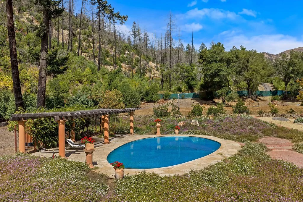 A backyard with a small oval swimming pool, surrounded by flowering plants, trees, and hills under a blue sky.
