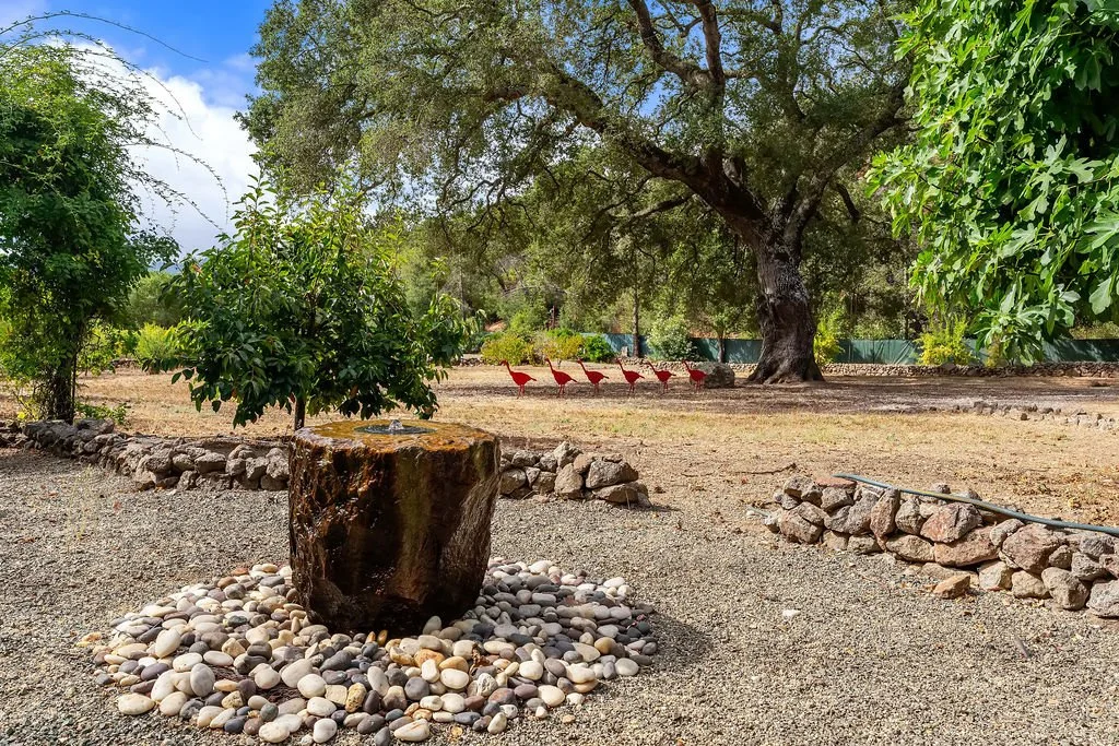 A garden scene with a large tree, green bushes, a stone path, and a worn tree stump surrounded by small rocks in the foreground. In the background, there are red chairs along the tree line, with partly cloudy sky overhead.
