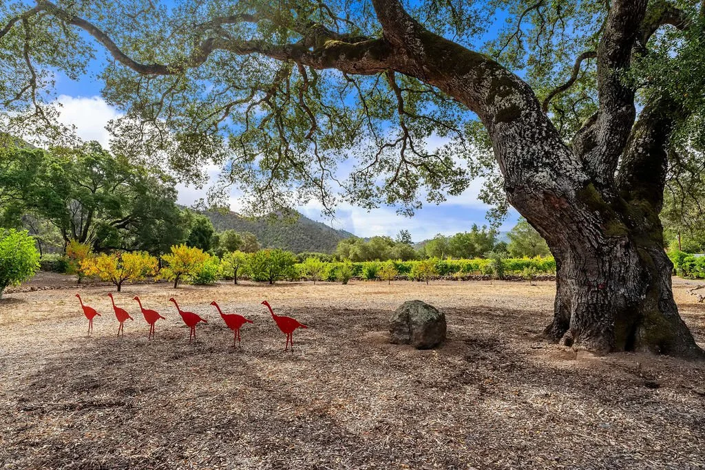 Five red silhouette painted flamingos standing on dirt ground underneath a large tree with sprawling branches, in a rural landscape with green bushes and mountains in the background.
