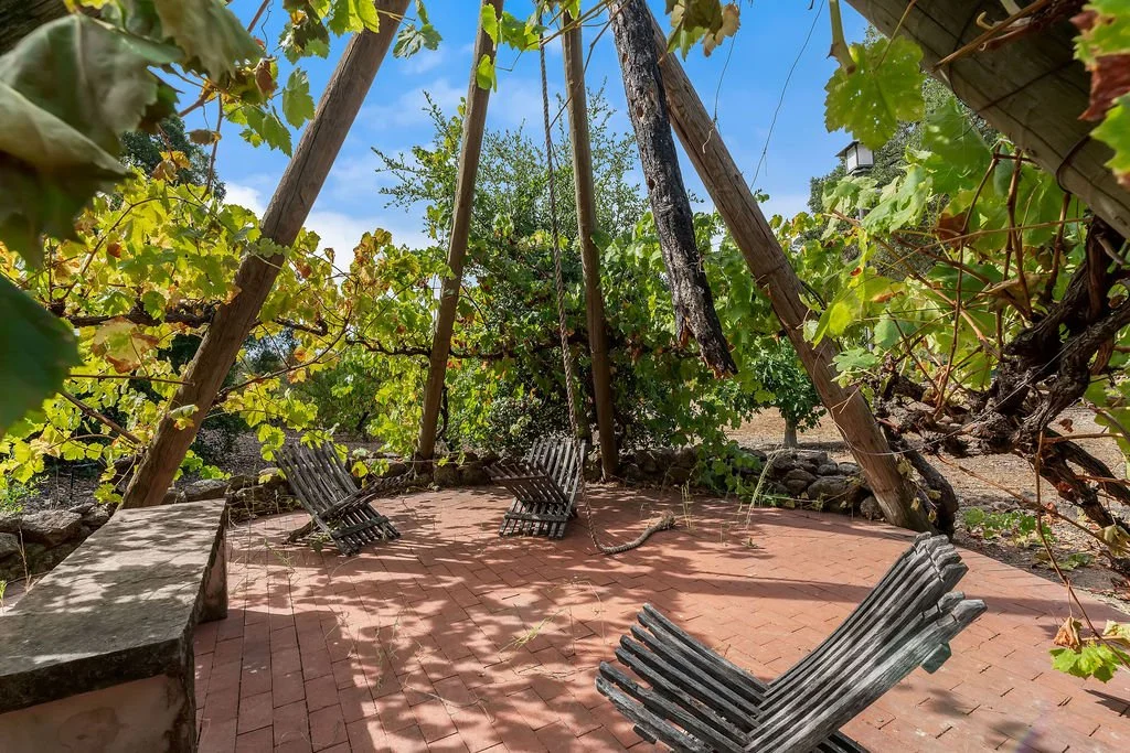 A small outdoor seating area with three black wooden chairs on a brick patio, surrounded by grapevine foliage supported by wooden poles, with trees and clear blue sky in the background.