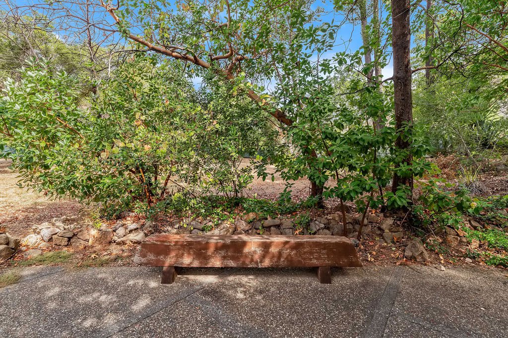 A wooden park bench on a concrete pathway beside a landscaped garden with green bushes and trees.