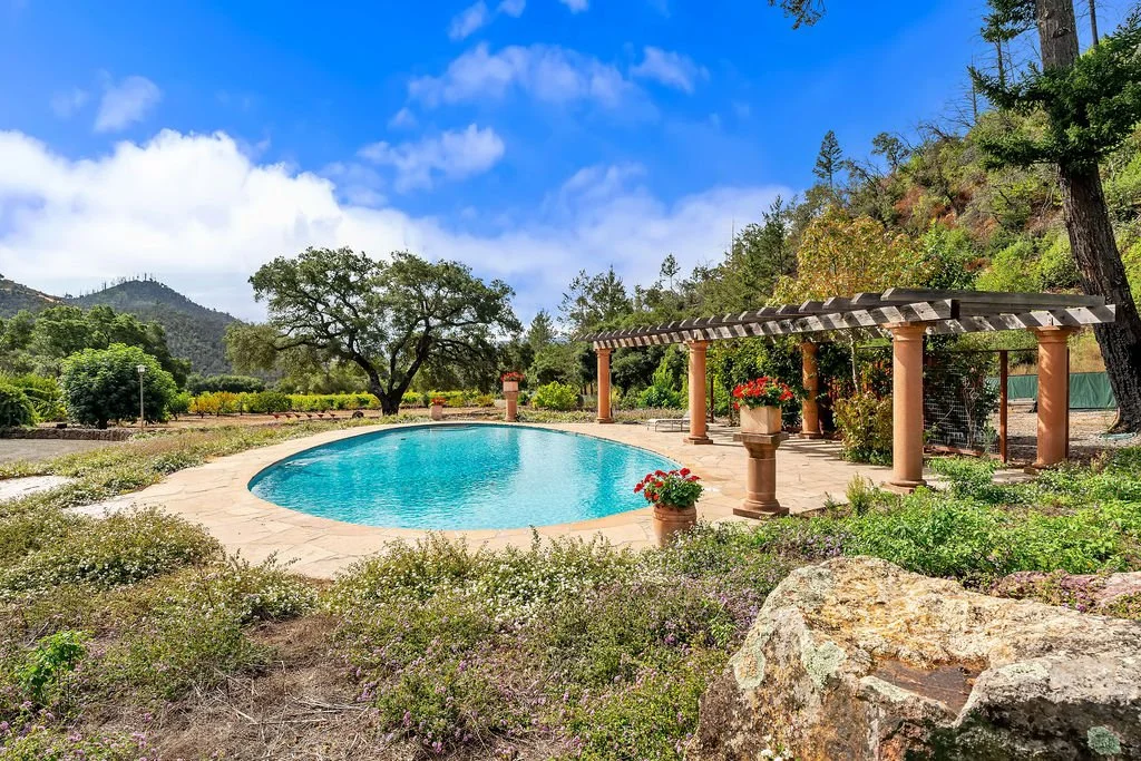 A scenic outdoor pool surrounded by plants, trees, and mountains in the background, with a blue sky and some clouds.
