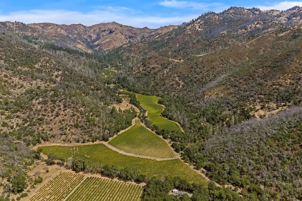 Aerial view of a lush green vineyard in a valley surrounded by brown mountains and hills, with a winding dirt road on the right side.