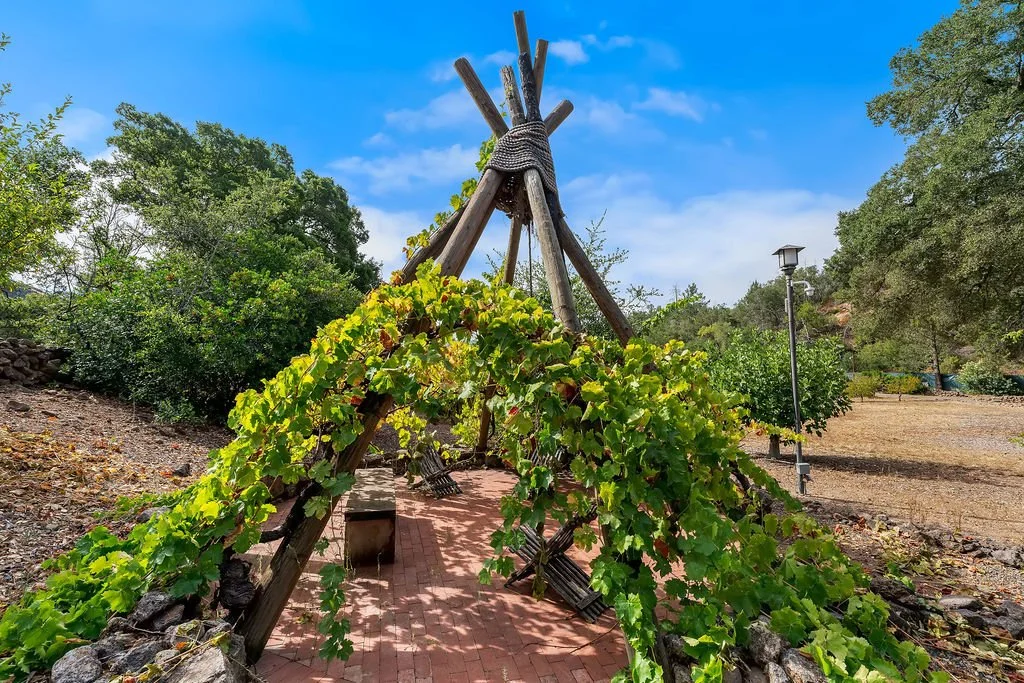 A teepee made of wooden poles set in a natural outdoor setting with trees and a sky background, surrounded by green vines and a brick pathway.