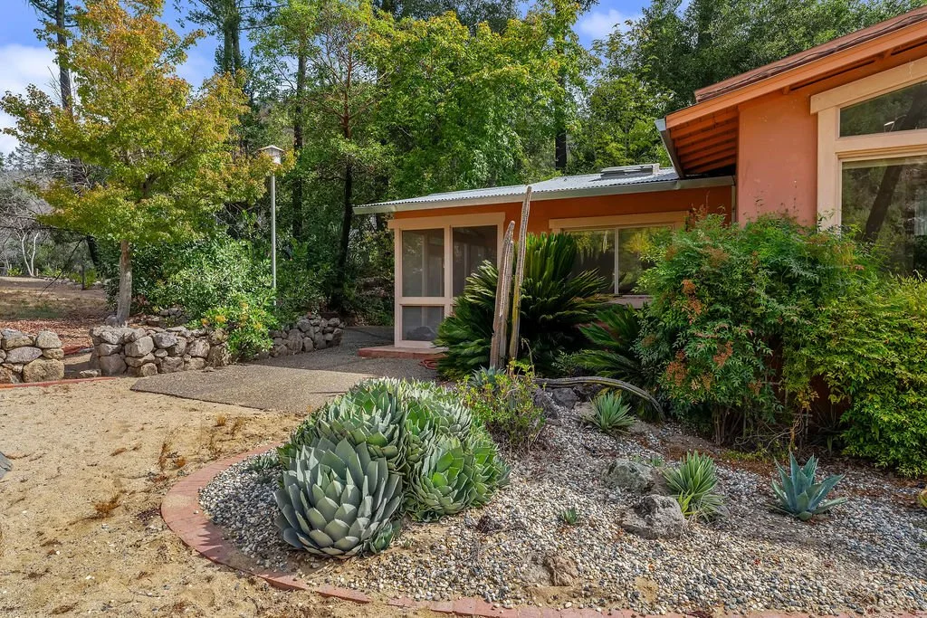A backyard landscape with desert plants, succulents, rocks, and a house with large windows, surrounded by trees.