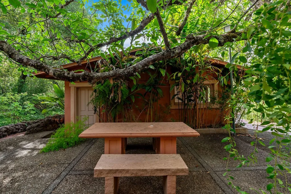 A stone table and matching bench sitting on a paved area in front of a small wooden building, surrounded by lush green trees and plants, with branches overhead.