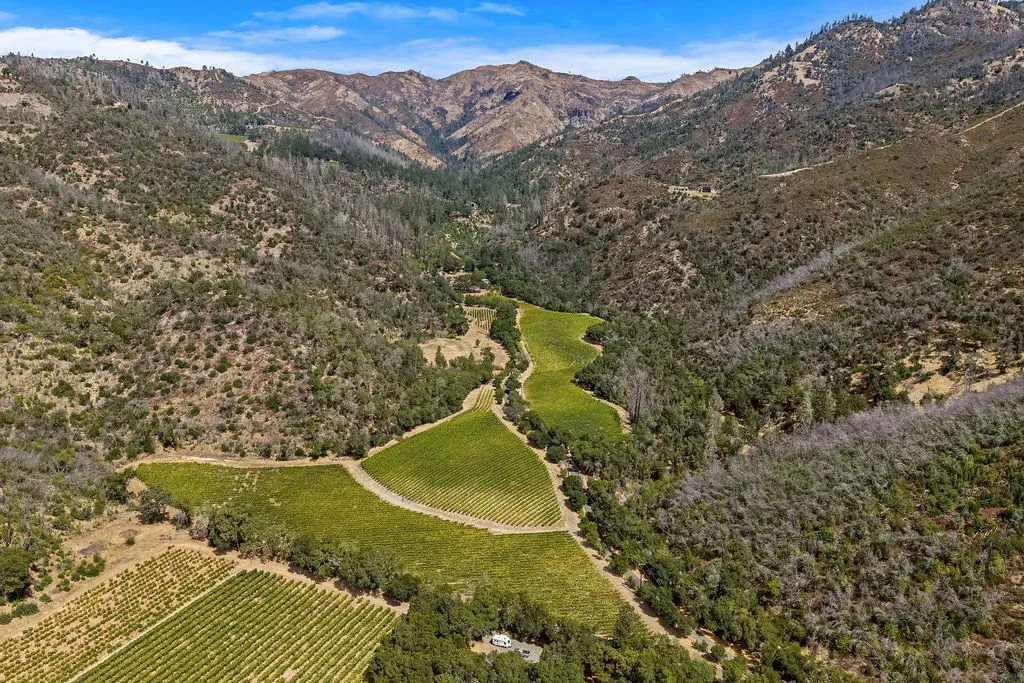 Aerial view of a lush vineyard set in a valley surrounded by rugged mountains with sparse vegetation and a few scattered trees.